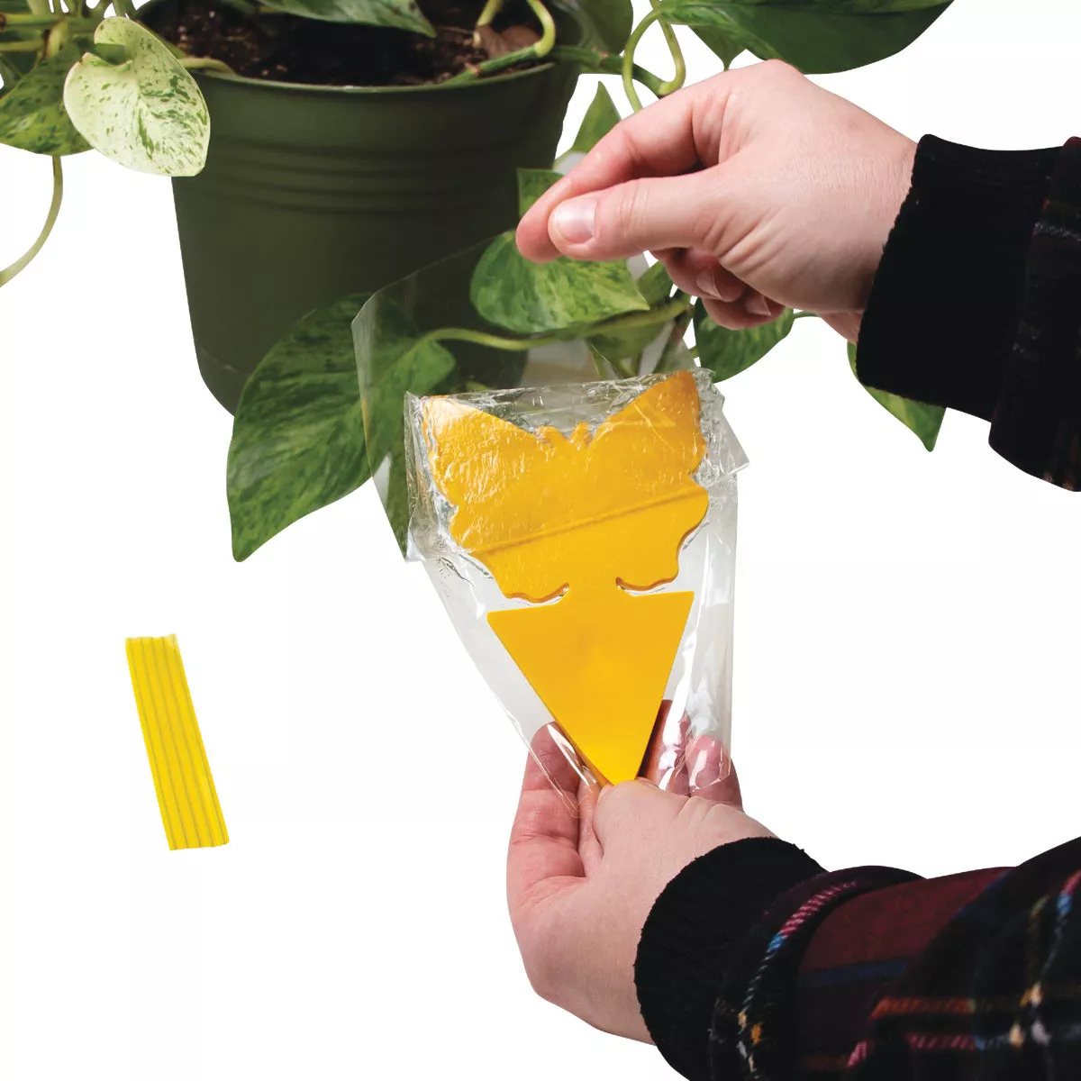 Intruder The Better Bugtrap for Plants Disposable Indoor/Outdoor Insect Trap (10-Pack) - photo 2