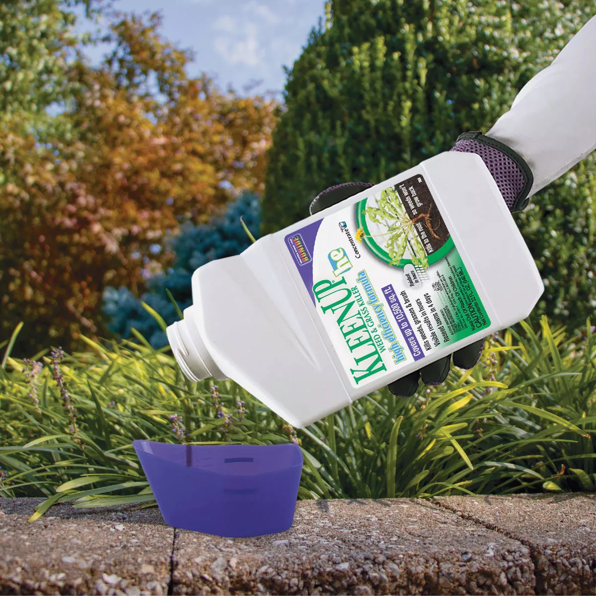 Bonide KleenUP 32 Oz. Concentrate Weed & Grass Killer High Efficiency Formula - photo 5