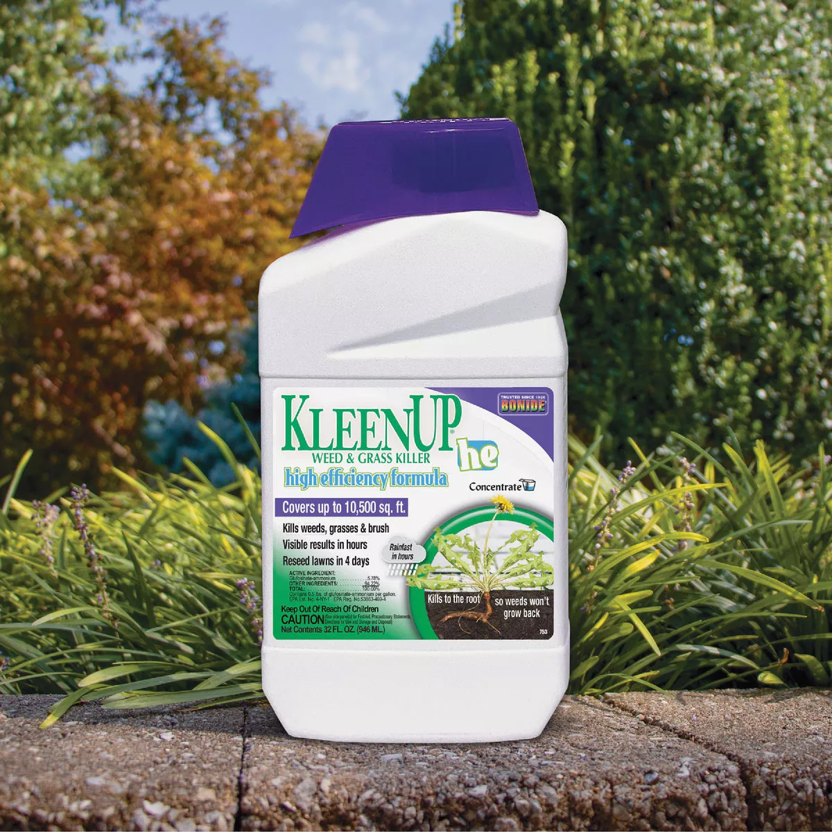 Bonide KleenUP 32 Oz. Concentrate Weed & Grass Killer High Efficiency Formula - photo 6
