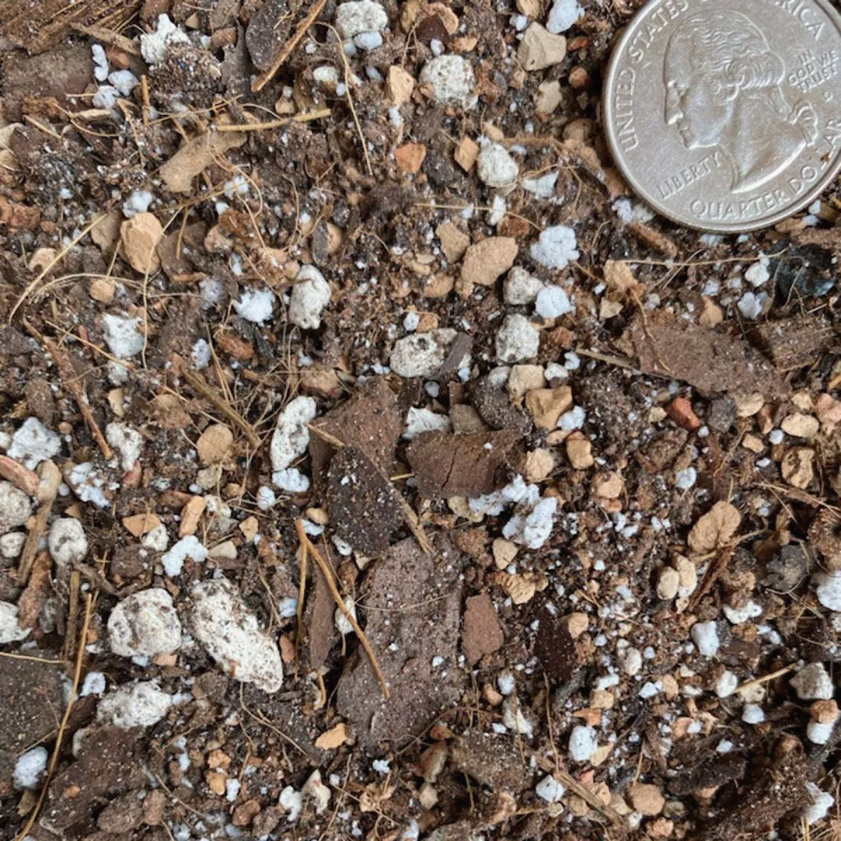 Sol Soils 2 Qt. Houseplant Chunky Mix - photo 7