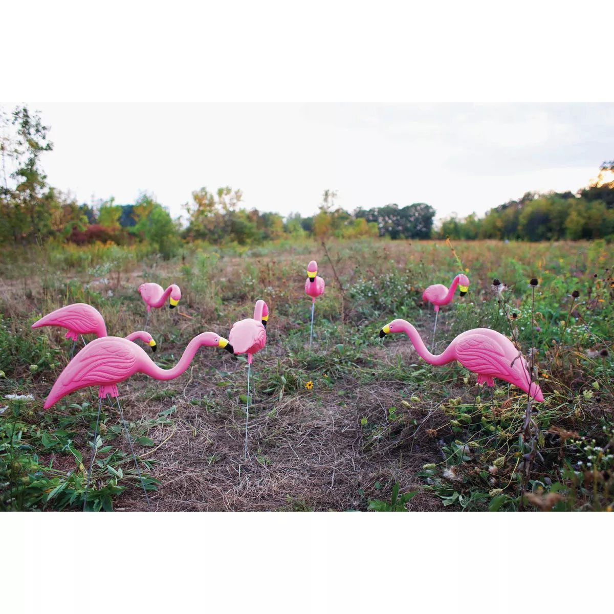 Bloem Pink Flamingo Lawn Ornament (2-Pack) - photo 2