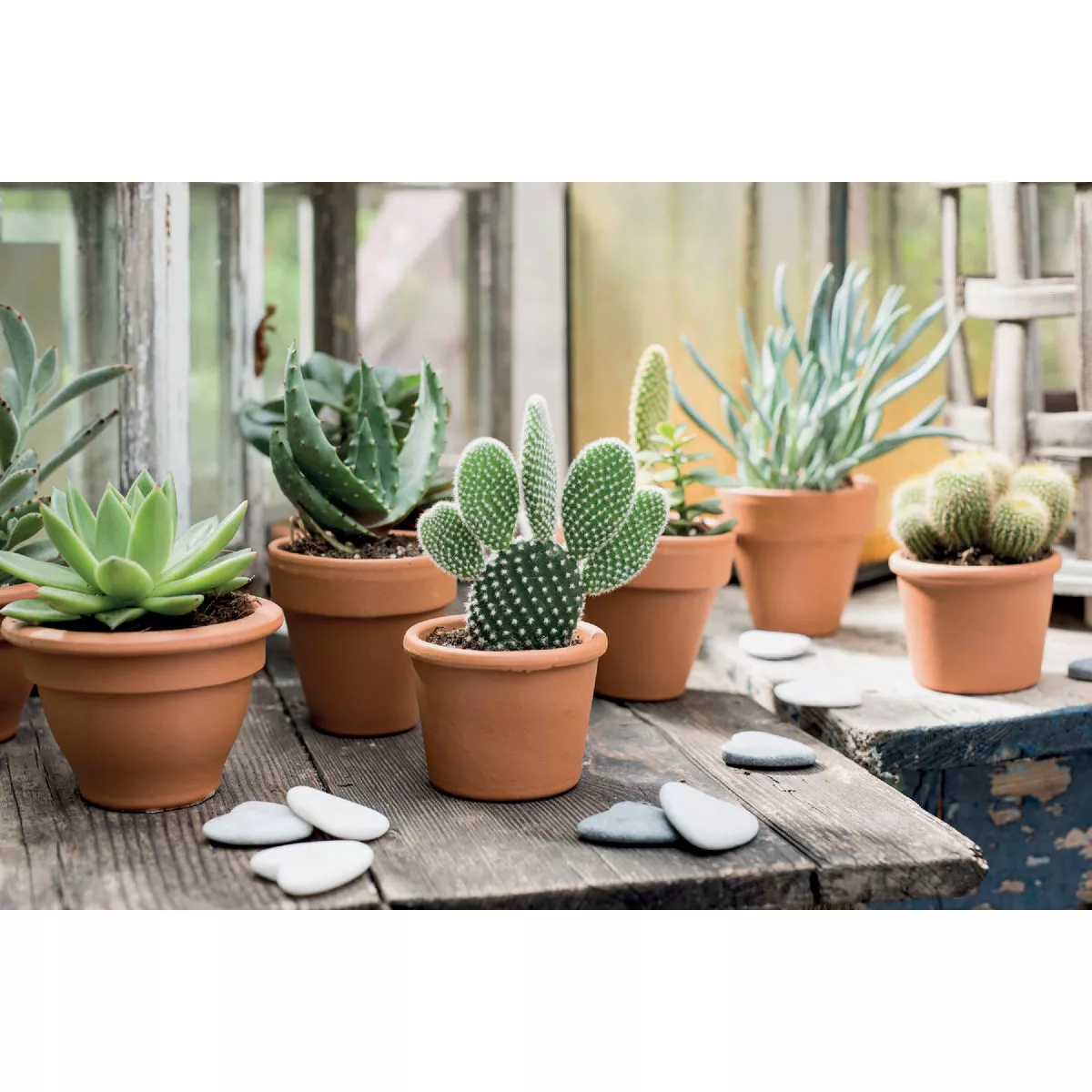 Deroma 3.5 In. Red Terra Cotta Clay Standard Planter - photo 2