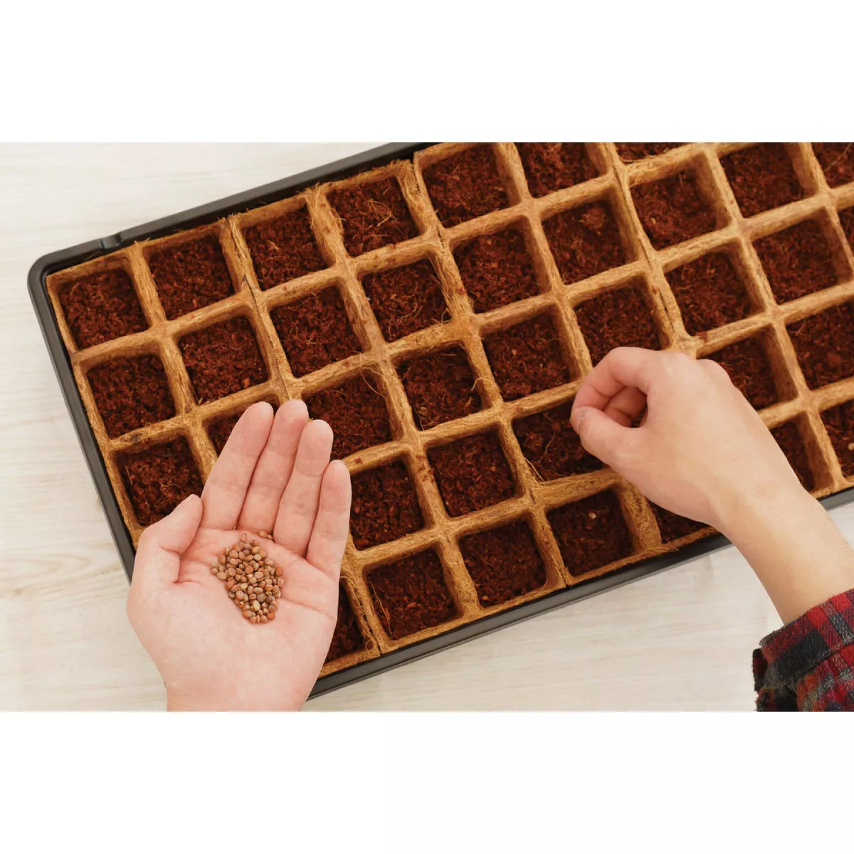 PlantBest 50-Cell Coir Seed Starter Kit - photo 4