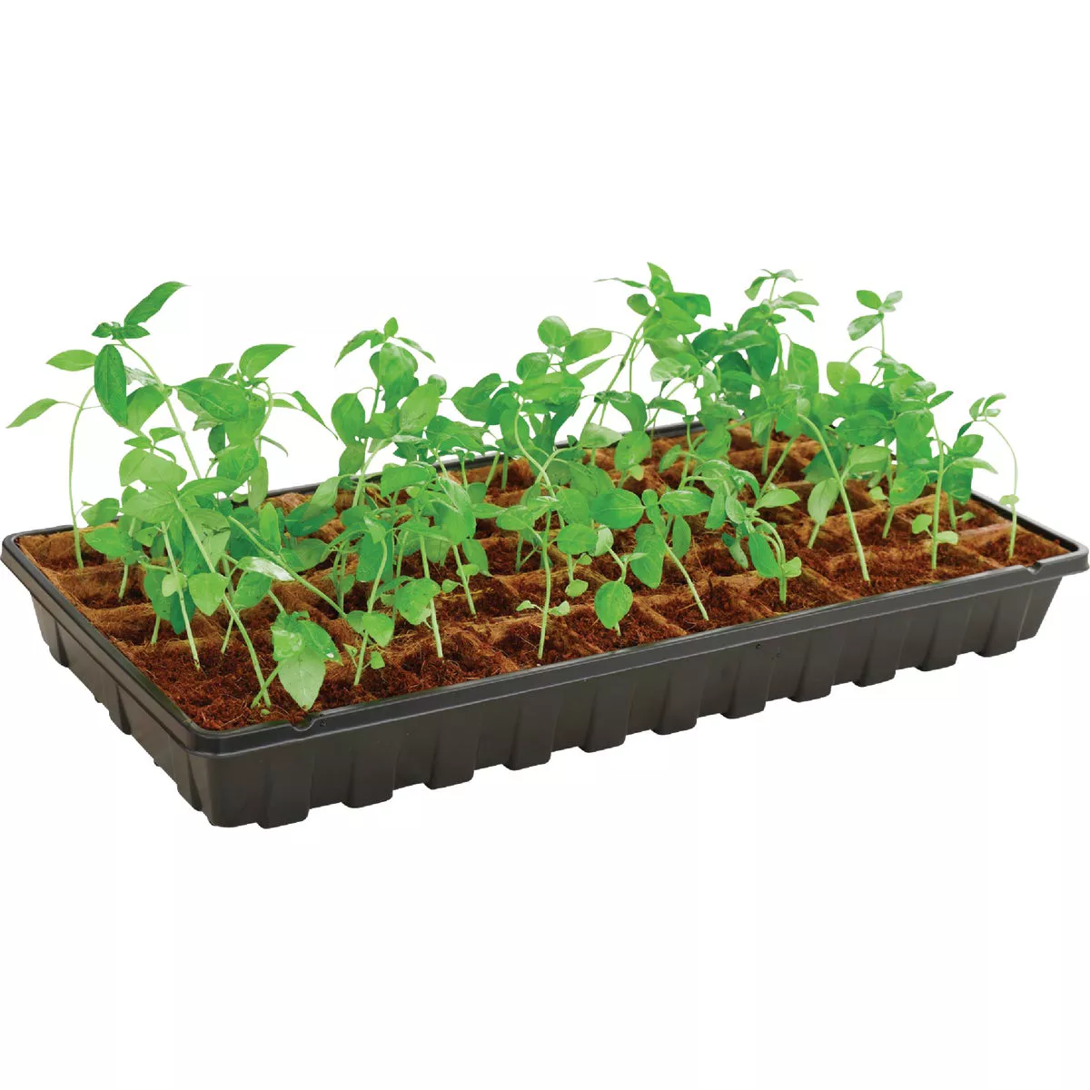 PlantBest 50-Cell Coir Seed Starter Kit - photo 7