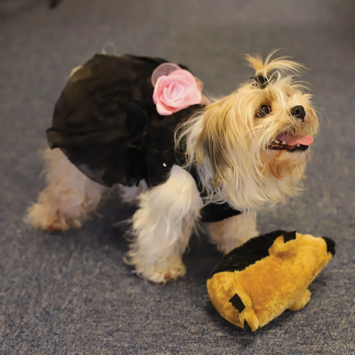Boss Pet Digger's Hedgehog Plush - photo 3