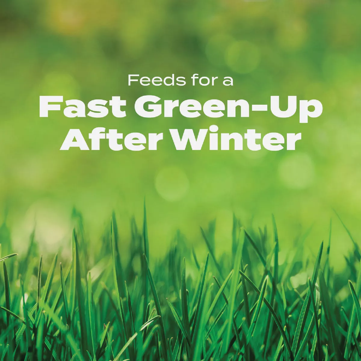 Scotts Turf Builder 40.05 Lb. 15,000 Sq. Ft. Halts Crabgrass Preventer with Lawn Food - photo 4