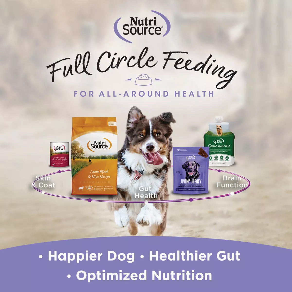 NutriSource Little Bites 6 Oz. Chicken Dog Treat - photo 4