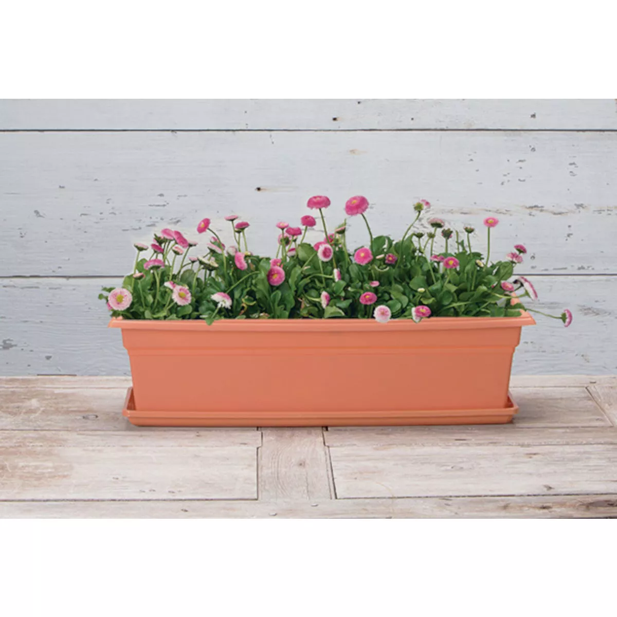 Novelty Countryside 24 In. Terra Plastic Flower Box Tray - photo 3