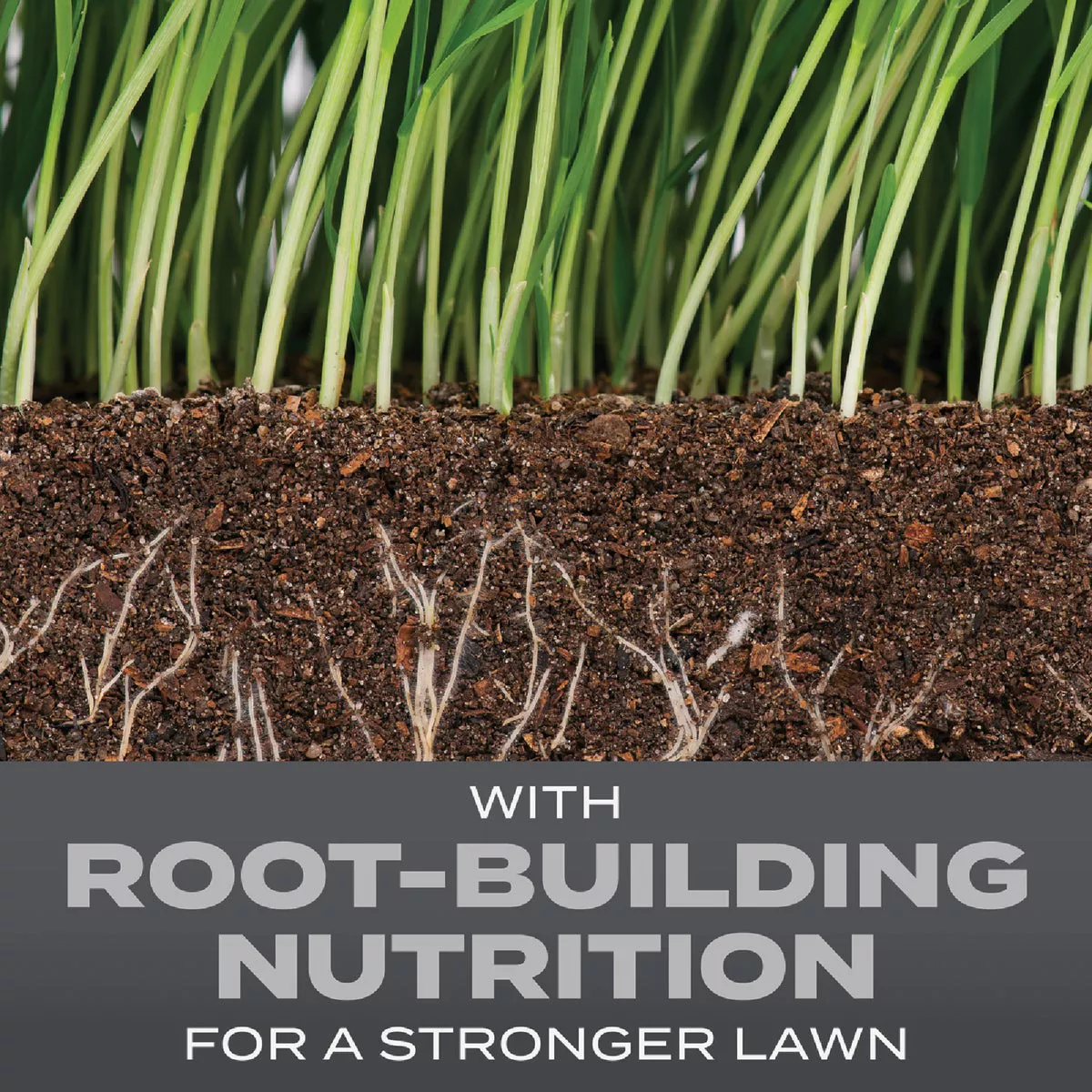 Scotts Turf Builder 2.4 Lb. 200 Sq. Ft. Pennsylvania State Mix Grass Seed, Fertilizer, and Soil Improver Combination - photo 5