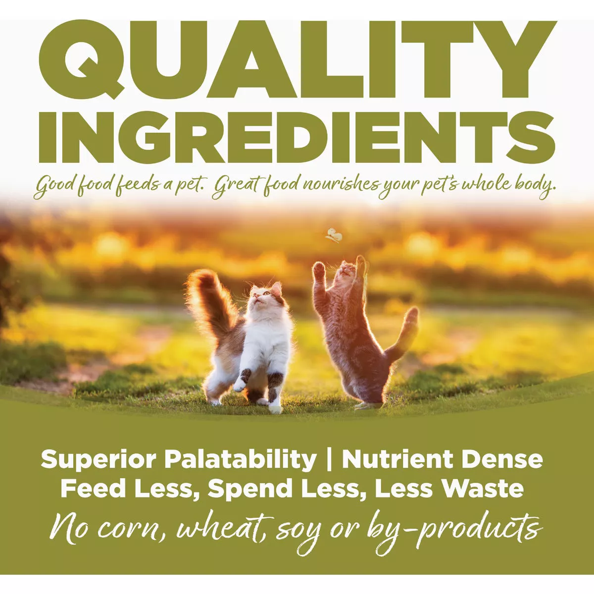 NutriSource 12 Lb. Chicken & Rice Dry Senior Cat Food - photo 4