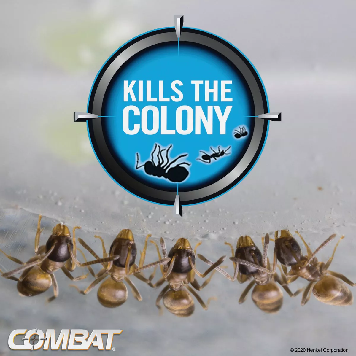 Combat Source Kill Max 0.21 Oz. Solid Ant Bait Station (6-Pack) - photo 6