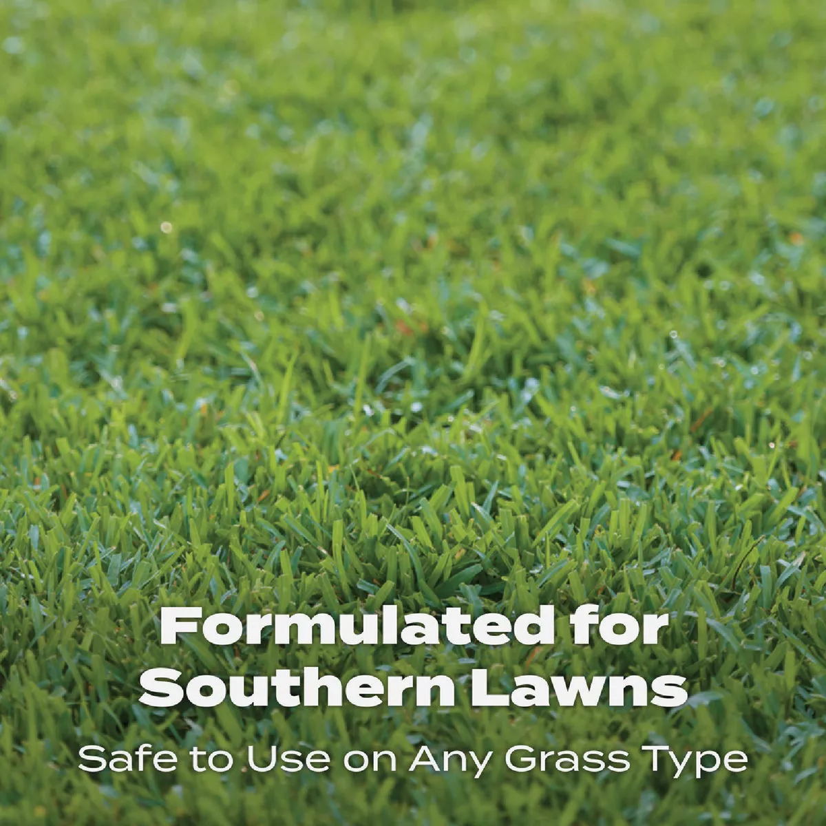 Scotts Turf Builder 15,000 Sq. Ft. Southern Lawn Food - photo 6