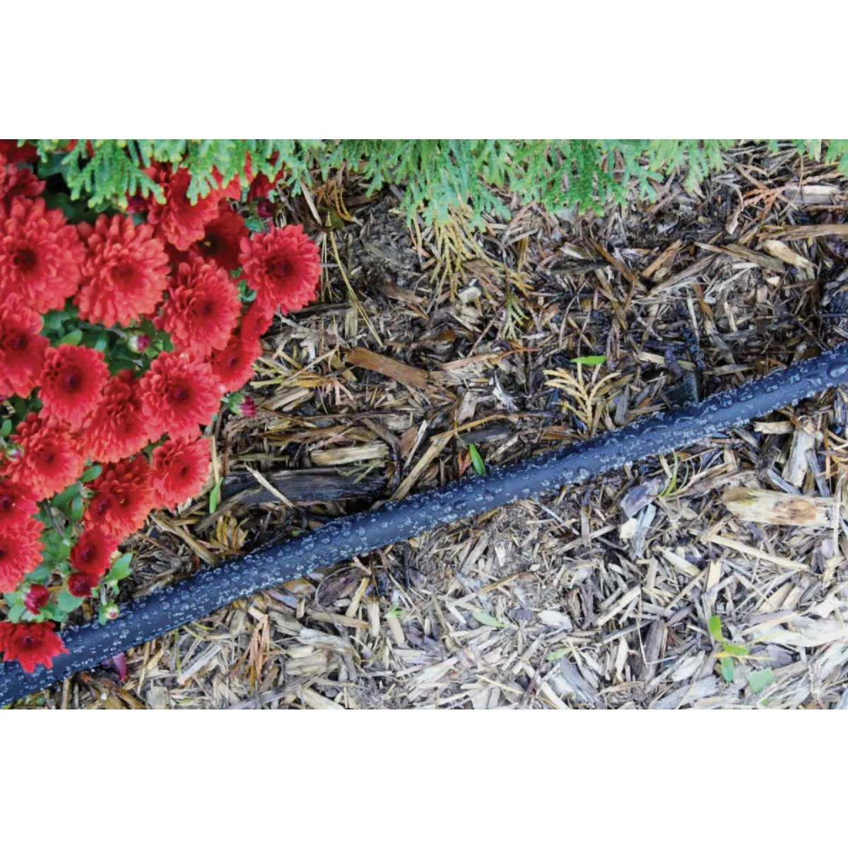 Gilmour 25 Ft. Flat Soaker Hose - photo 3