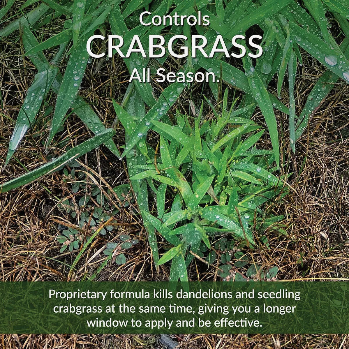 GreenView Fairway 18 Lb. 5000 Sq. Ft. 24-0-6 Spring Fertilizer Weed & Feed and Crabgrass Preventer - photo 4