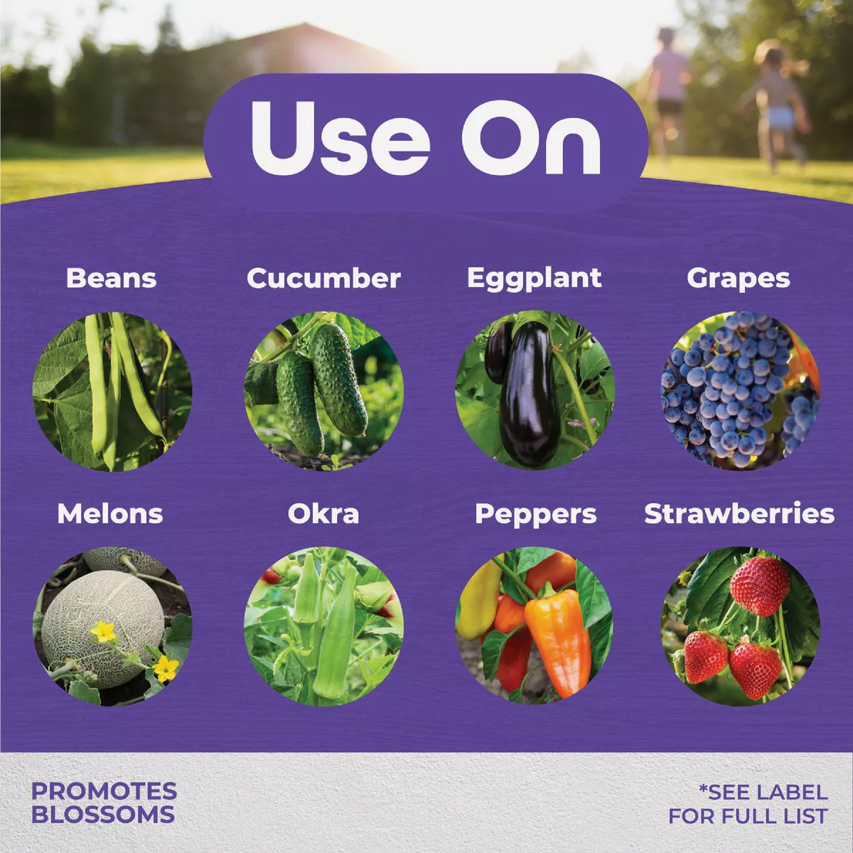 Bonide 8 Oz. Ready To Use Pump Tomato & Blossom Set Spray - photo 6