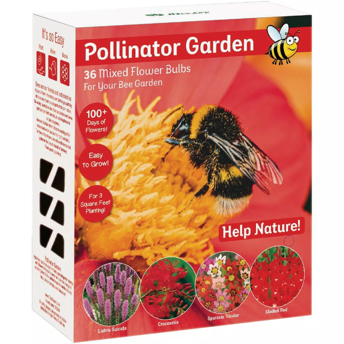 TotalGreen Holland Pollinator Bulb Collection - photo 3