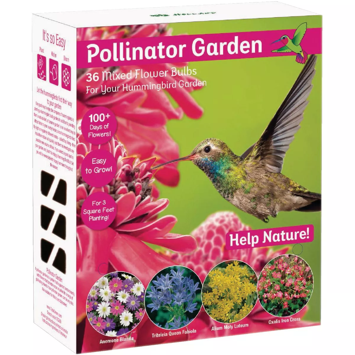 TotalGreen Holland Pollinator Bulb Collection - photo 4