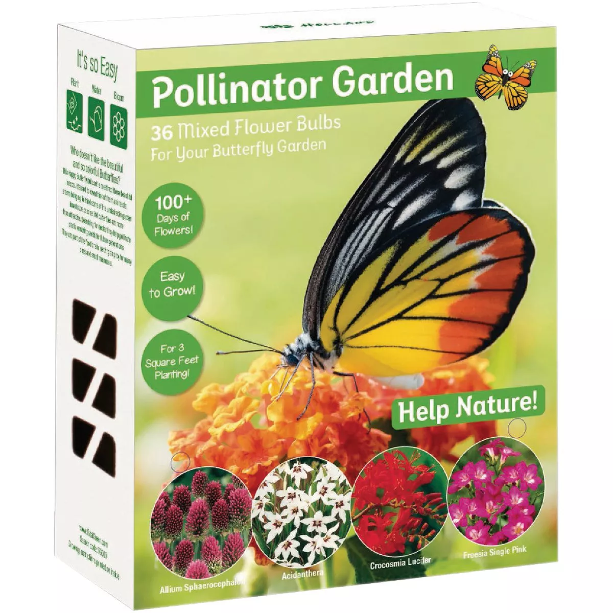 TotalGreen Holland Pollinator Bulb Collection - photo 5