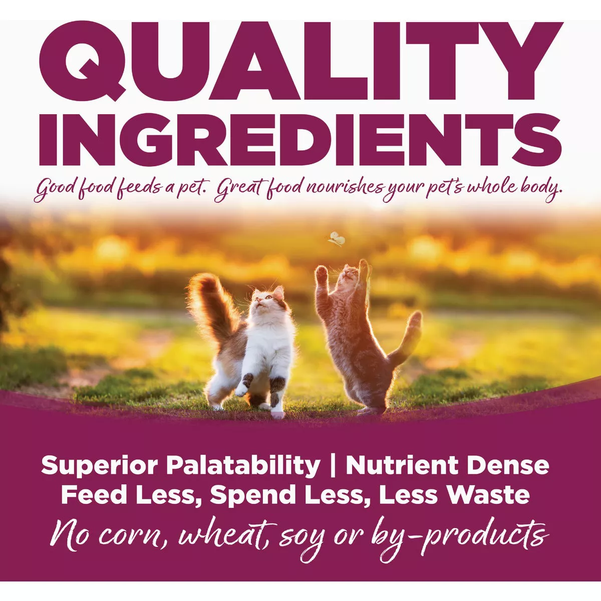 NutriSource 5.5 Oz. Chicken & Rice Recipe Cat Food - photo 5