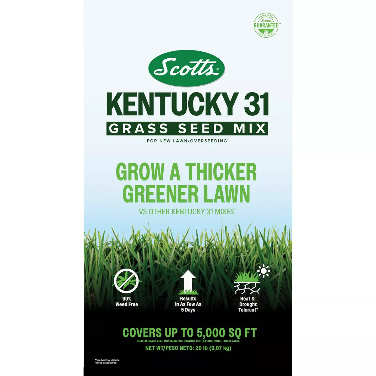 Scotts 20 Lb. Kentucky 31 Grass Seed Mix