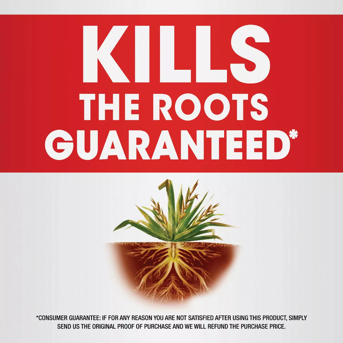 Roundup 1/2 Gal. Concentrate Plus Weed & Grass Killer - photo 2