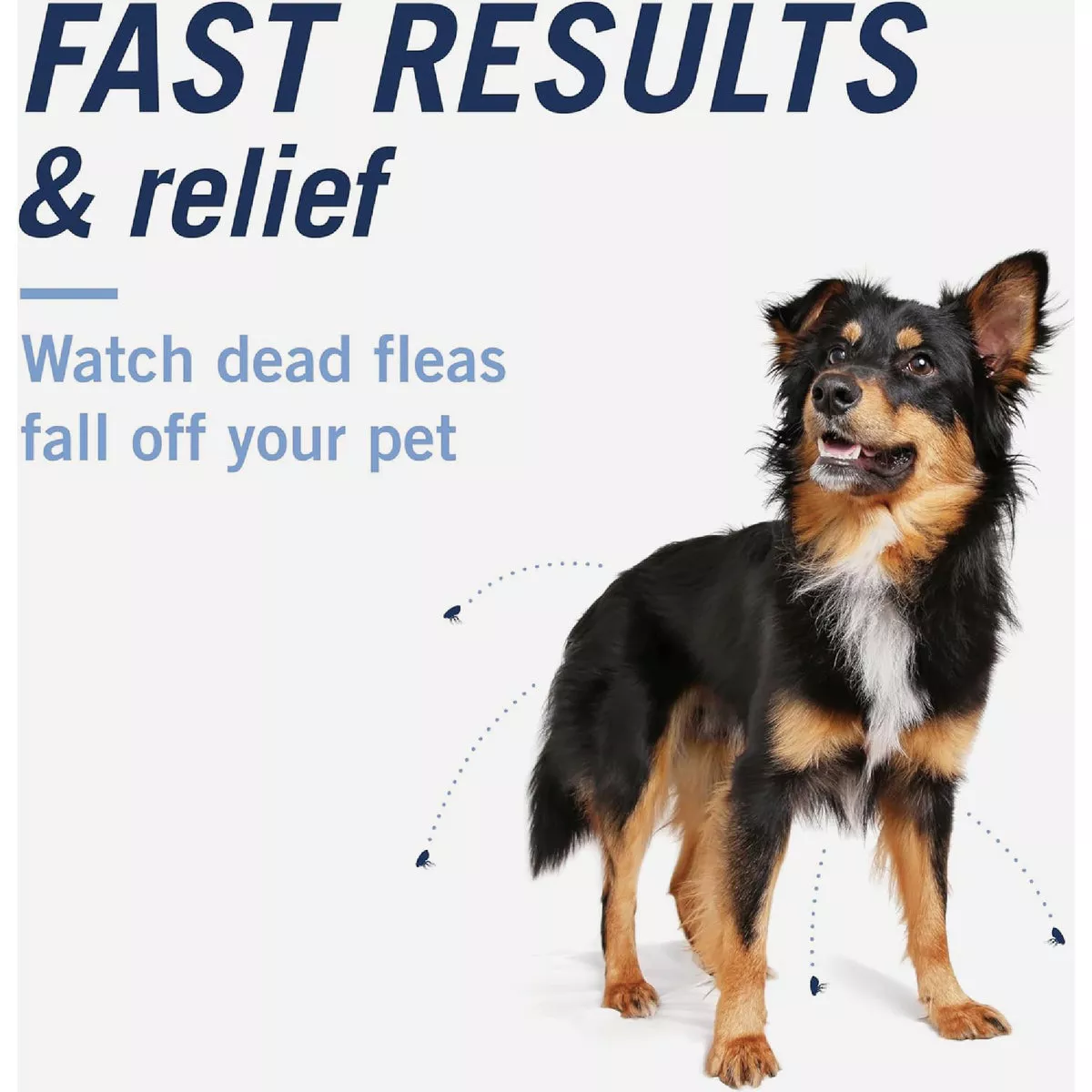 PetArmor CapAction 2 to 25 Lb. Dog Flea Tabs (6-Pack) - photo 4