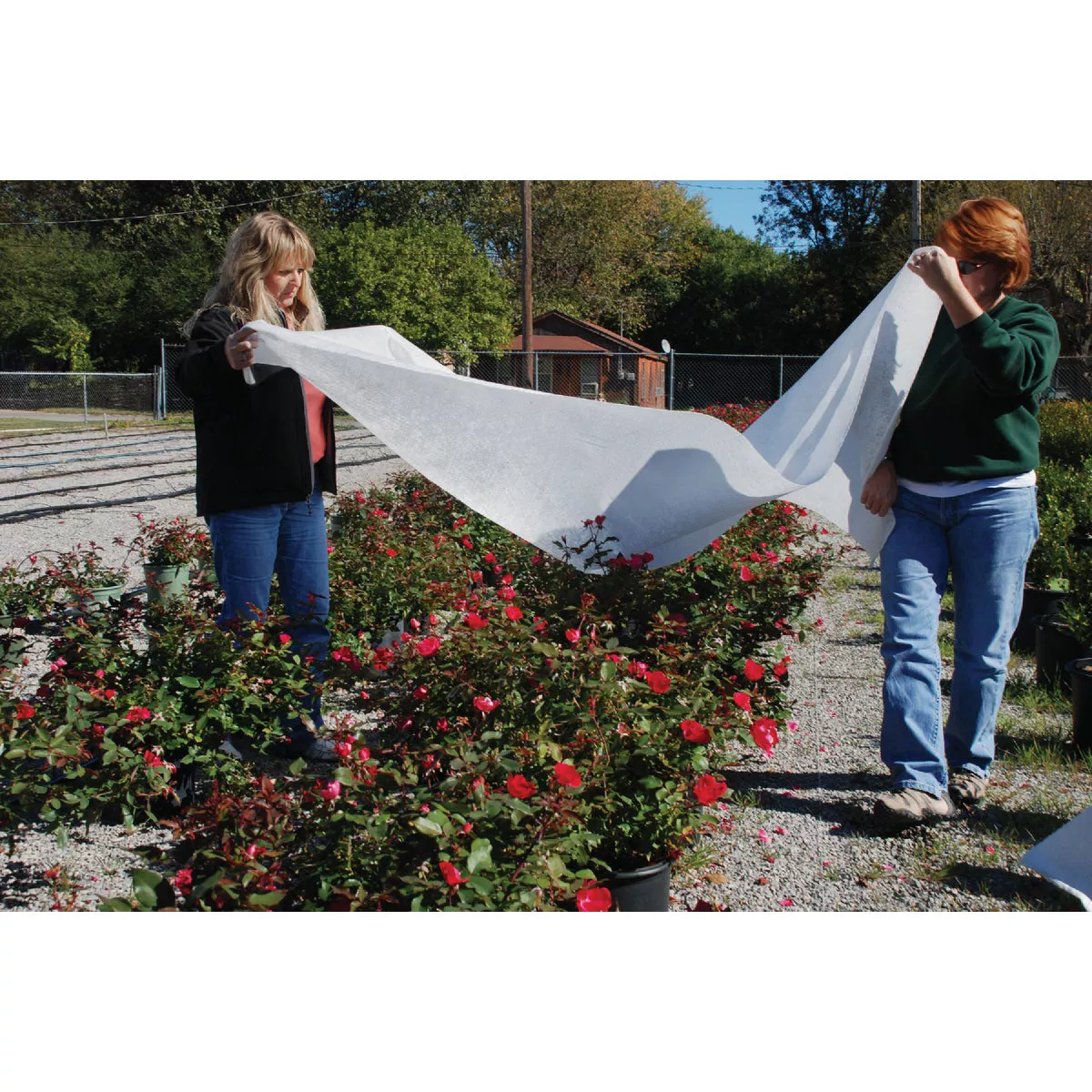 DeWitt Winter Protection 50 Ft. L. x 6 Ft. W. Seed Blanket - photo 2