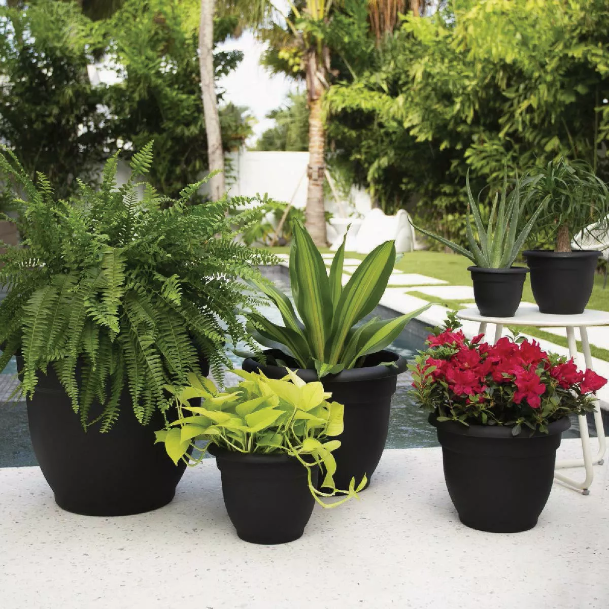 Bloem Ariana 8 In. Black Planter - photo 2