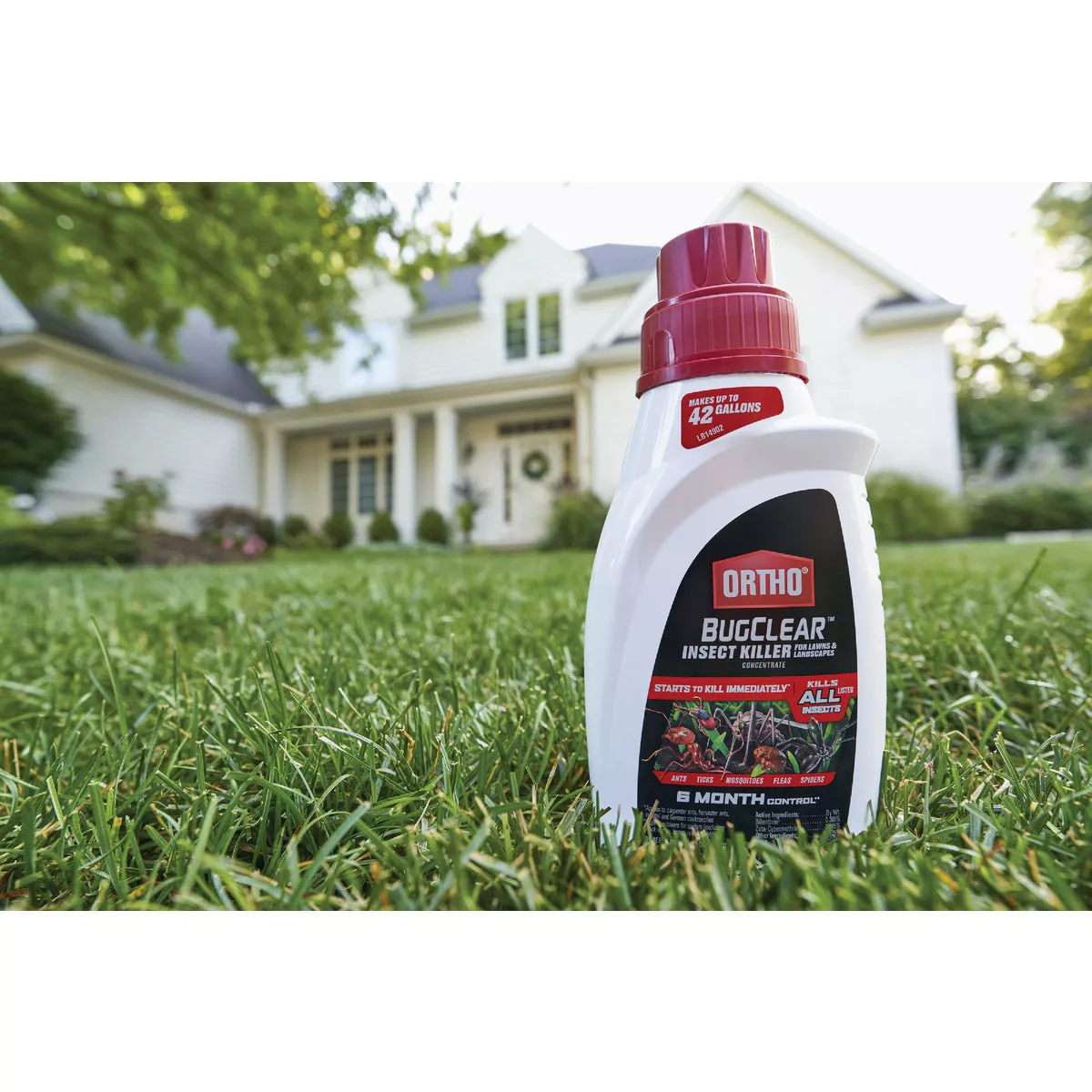 Ortho BugClear 32 Oz. Concentrate Lawn & Landscape Insect Killer - photo 6
