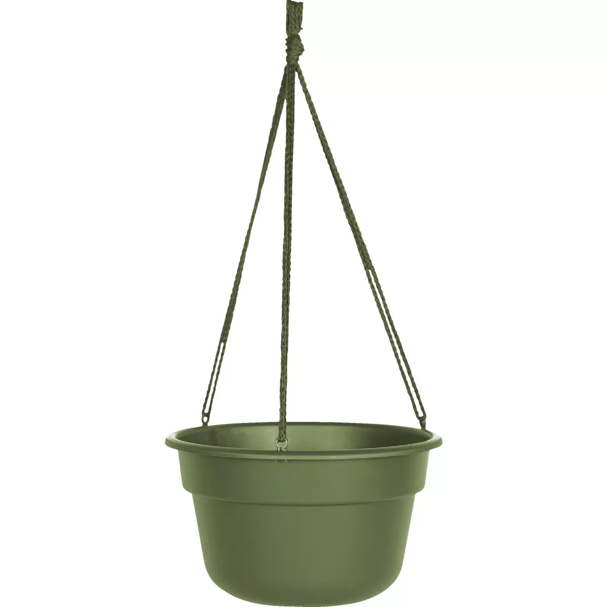 Bloem Dura Cotta 12 In. Plastic Living Green Hanging Plant Basket