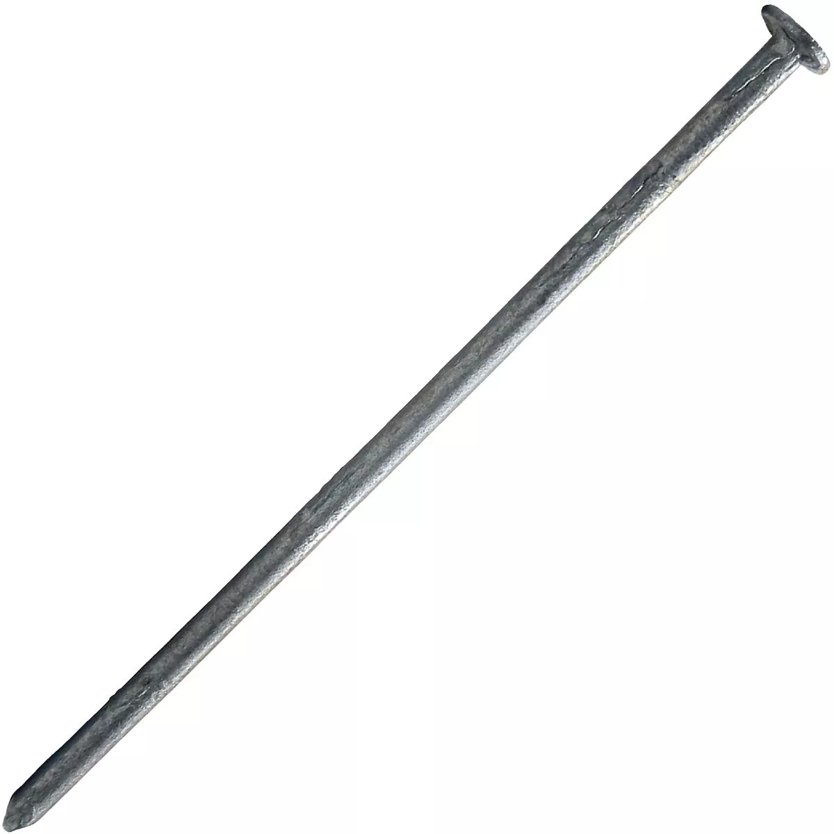 Maze 2-1/2 In. 13 ga Hot Dipped Galvanized Wood Siding Nails (9450 Ct., 50 Lb.)