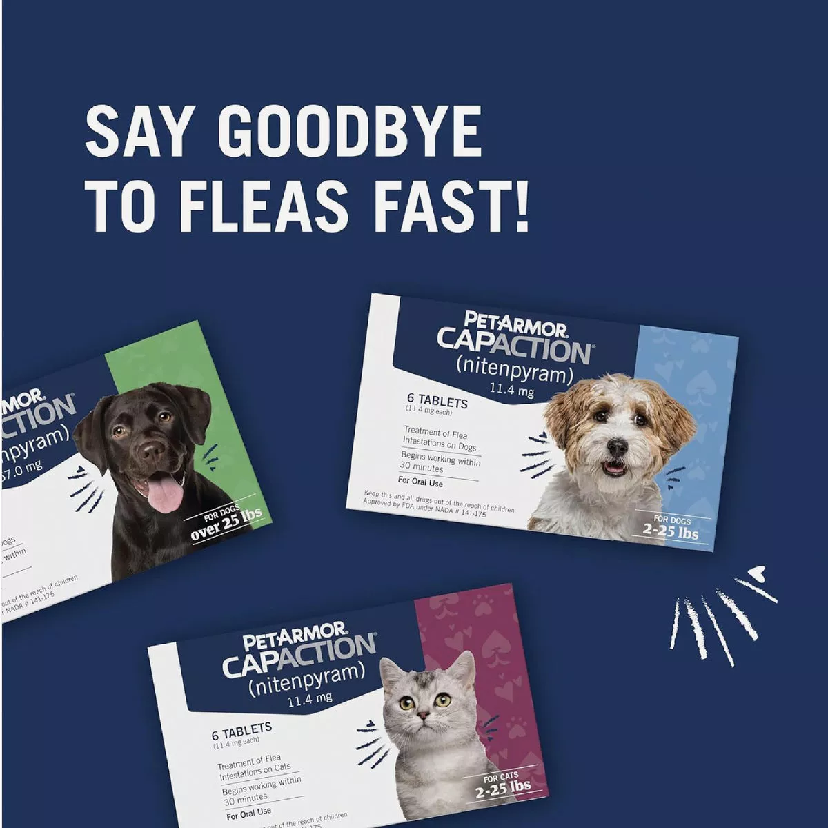 PetArmor CapAction Over 25 Lb. Dog Flea Tabs (6-Pack) - photo 6