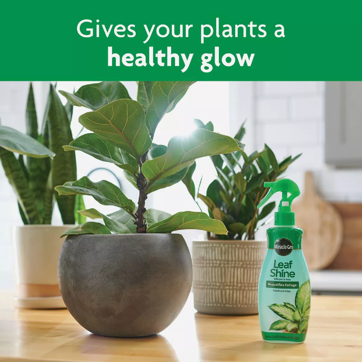 Miracle-Gro 8 Oz. Liquid Leaf Shine - photo 6