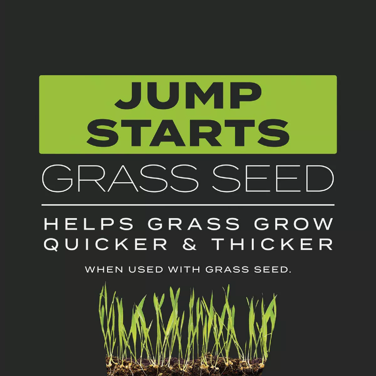 Scotts Turf Builder 4.3 Lb. 1000 Sq. Ft. Triple Action Built For Seeding - photo 2