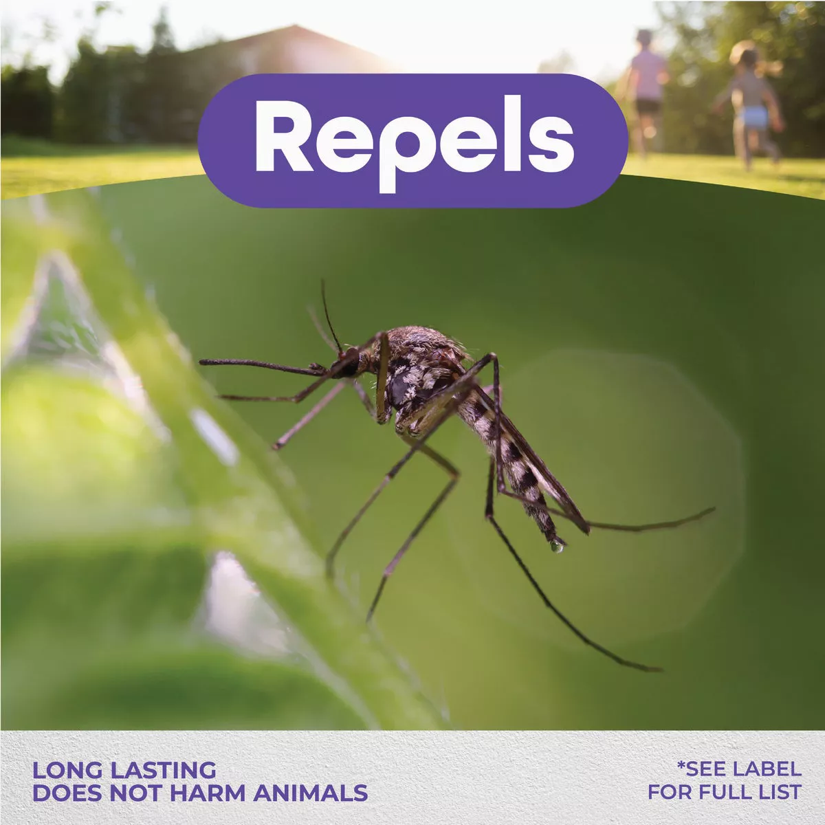 Bonide Mosquito Beater 1.3 Lb. Granules Area Mosquito Repellent - photo 3