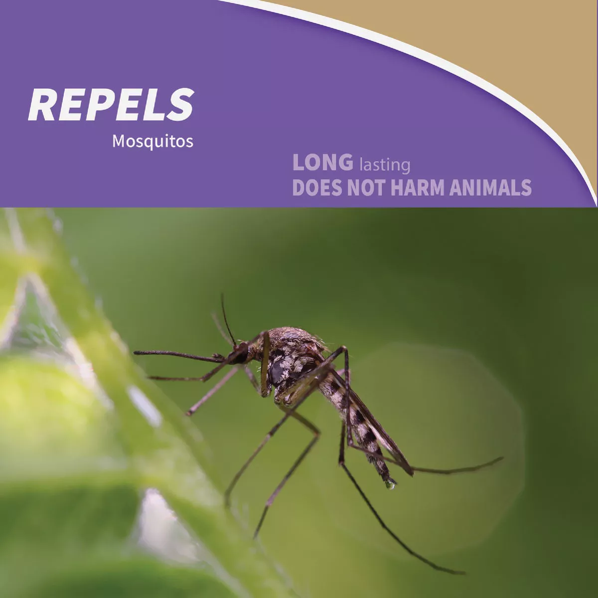 Bonide Mosquito Beater 1.3 Lb. Granules Area Mosquito Repellent - photo 5