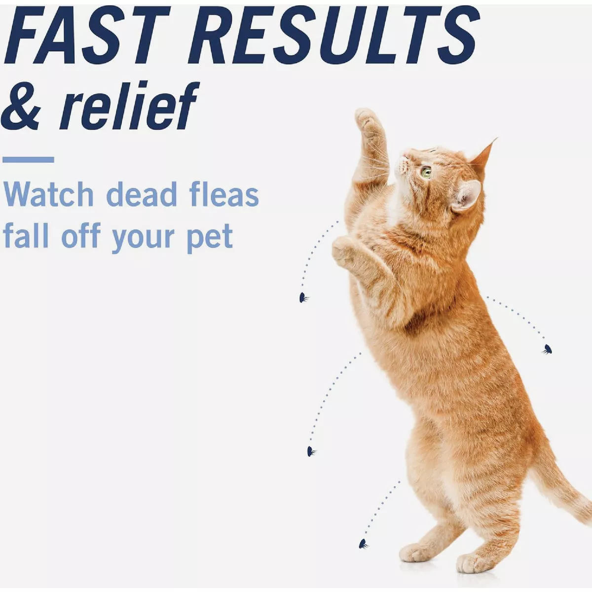 PetArmor CapAction 2 to 25 Lb. Cat Flea Tabs (6-Pack) - photo 4