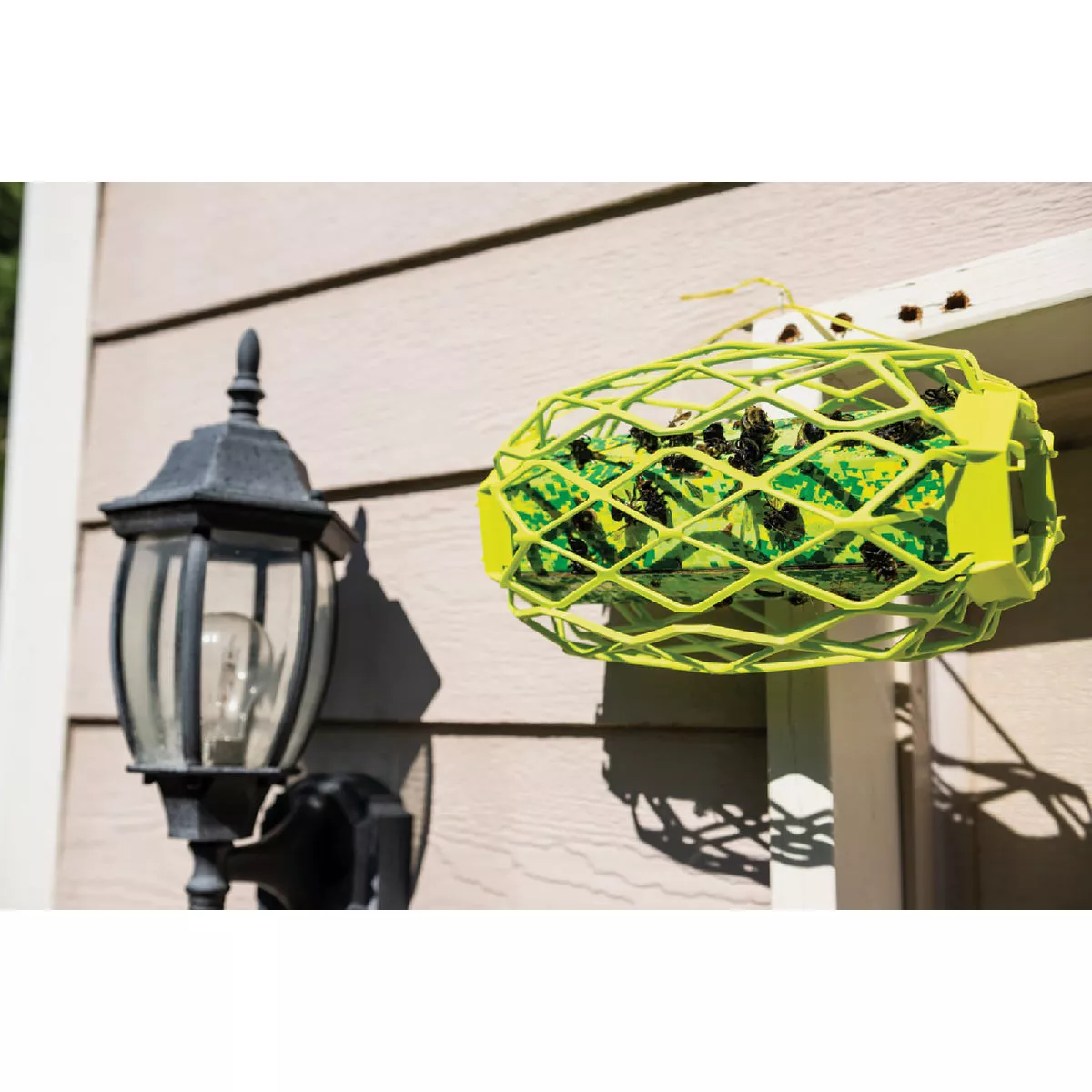 Rescue TrapStik Disposable Carpenter Bee Trap - photo 5