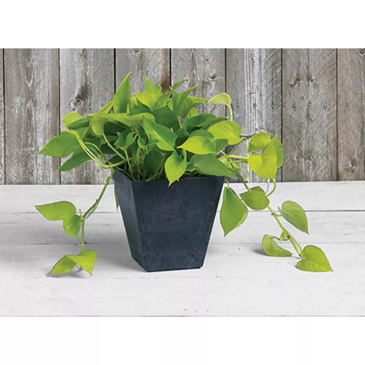 Novelty ArtStone Ella 8 In. W. x 8 In. H. x 8 In. L. Black Resin Planter - photo 3
