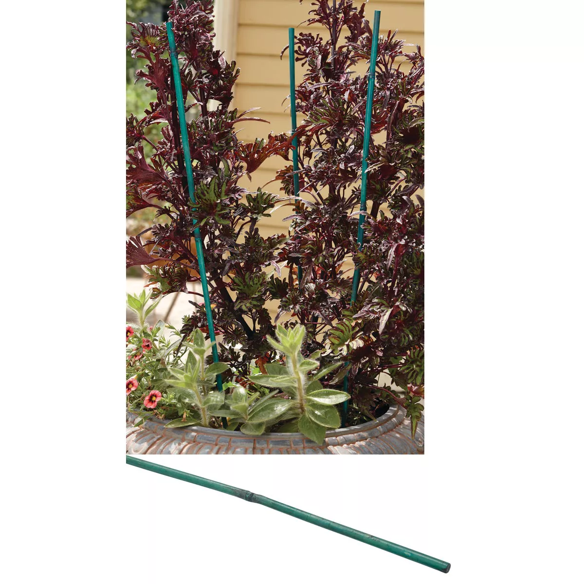 Gardener's Blue Ribbon 2 Ft. Green Bamboo Plant Stake (25-Pack)