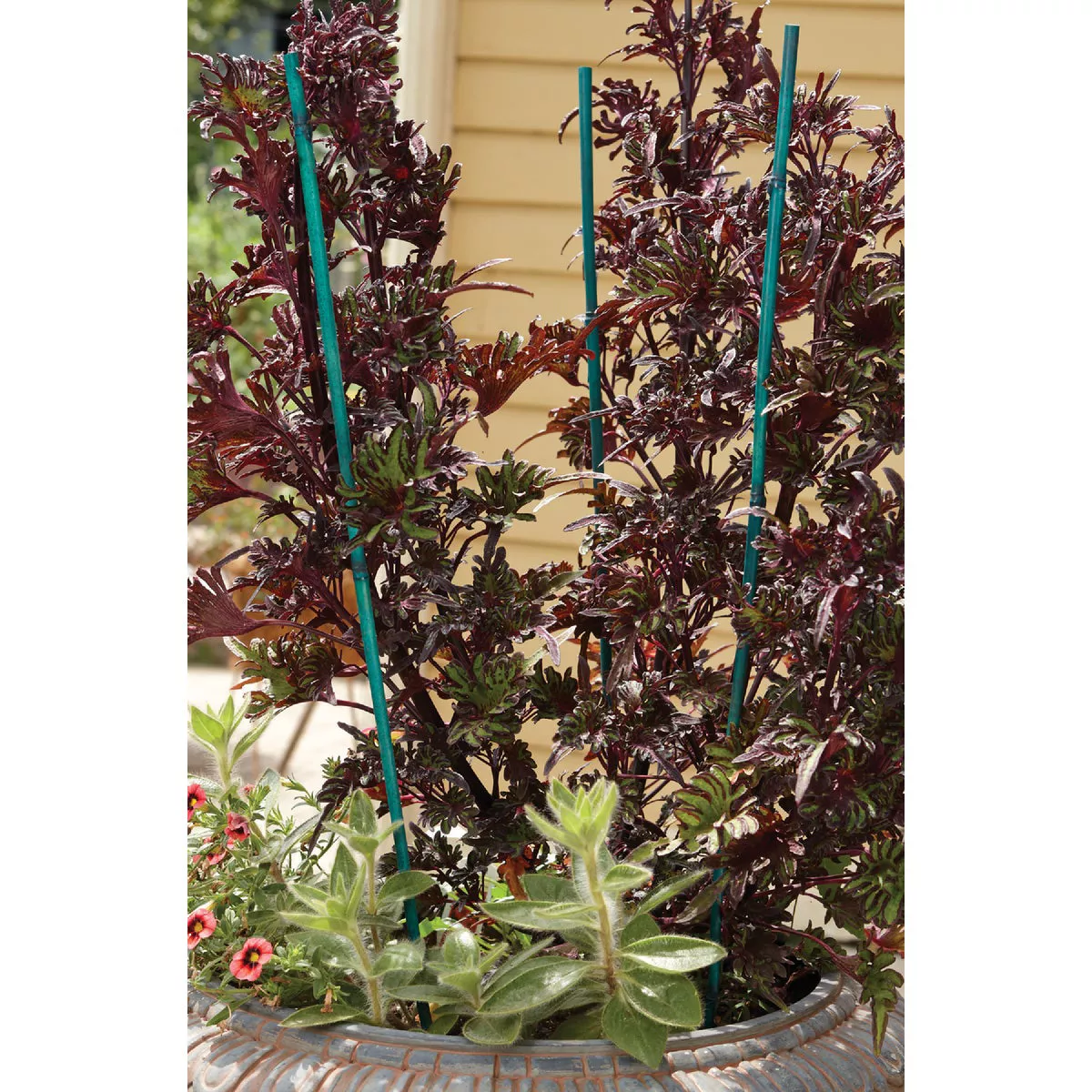 Gardener's Blue Ribbon 2 Ft. Green Bamboo Plant Stake (25-Pack) - photo 2