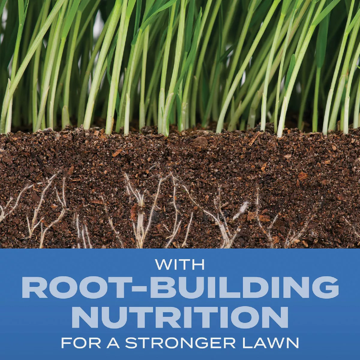Scotts Turf Builder 5.6 Lb. 745 Sq. Ft. Sun & Shade Mix Grass Seed, Fertilizer, and Soil Improver Combination - photo 2