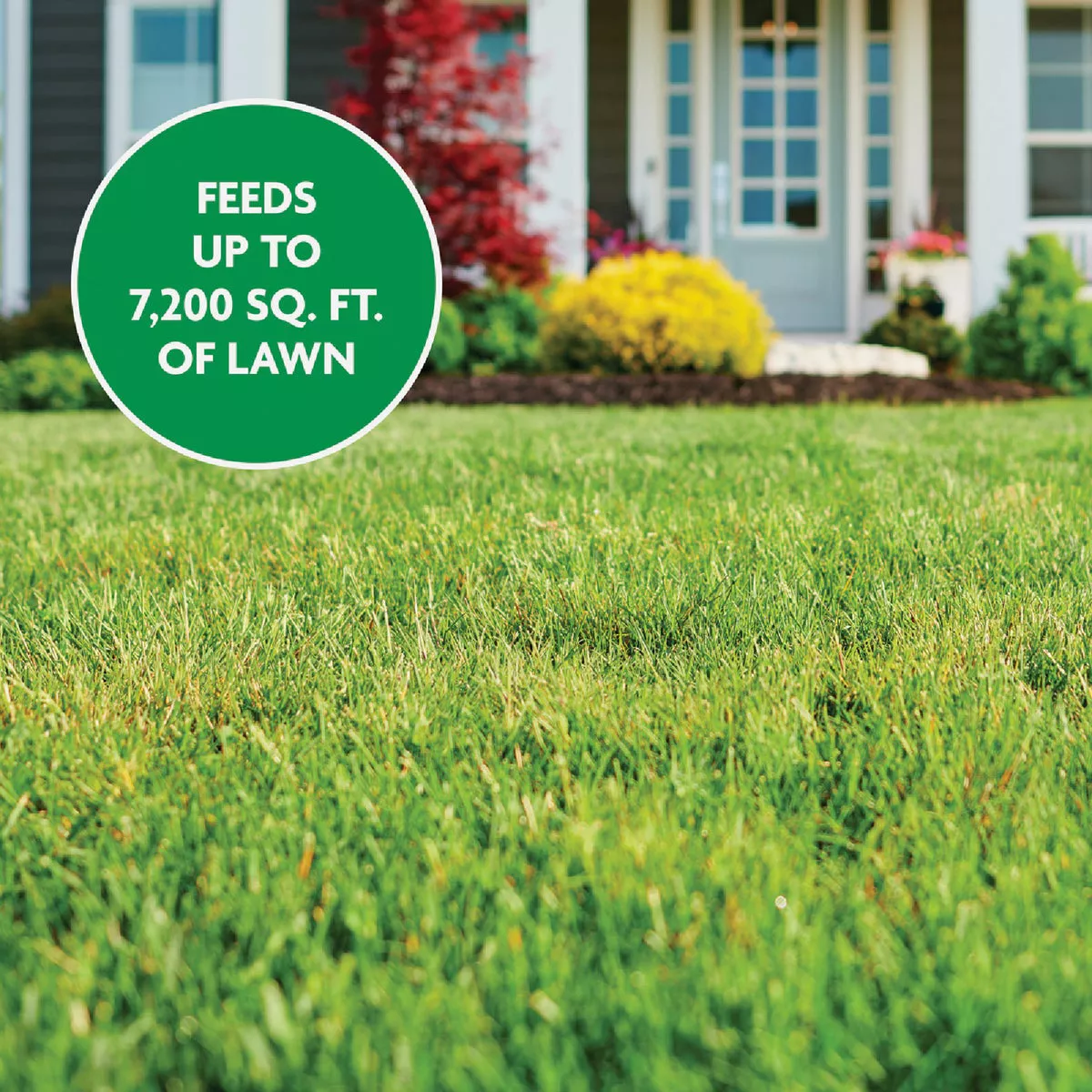 Miracle-Gro 5 Lb. Water Soluble Lawn Food - photo 4