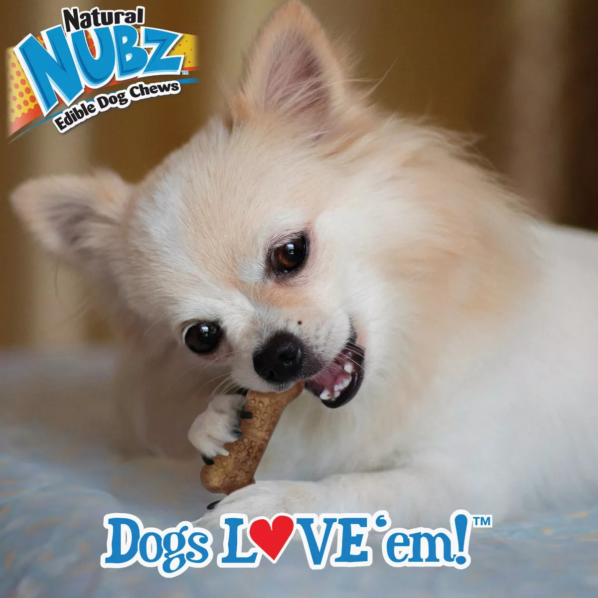 Nylabone Natural Nubz Bully Stick Grain Free Dog Treat Chew (36-Pack) - photo 4