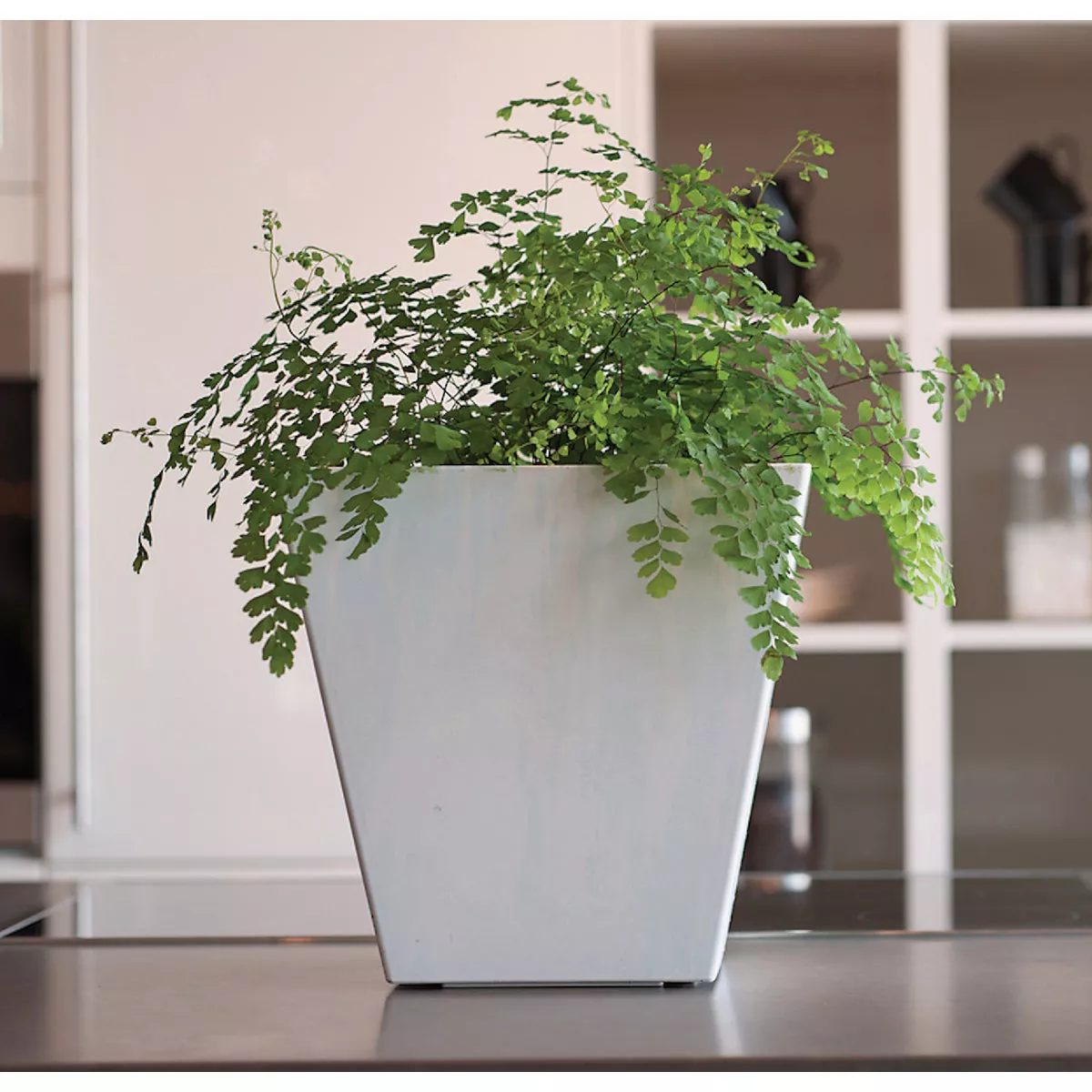 Novelty ArtStone Ella 6 in. W. x 6 in. H. x 6 in. L. White Resin Planter - photo 2