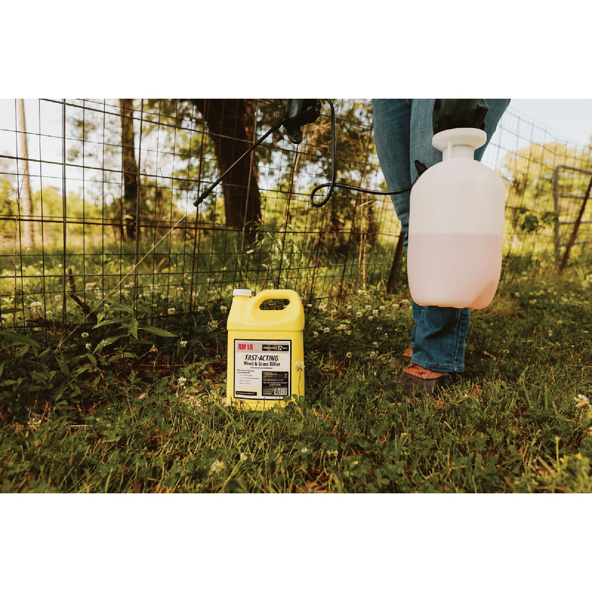 RM18 32 Oz. Concentrate FastActing Weed & Grass Killer Do it Best