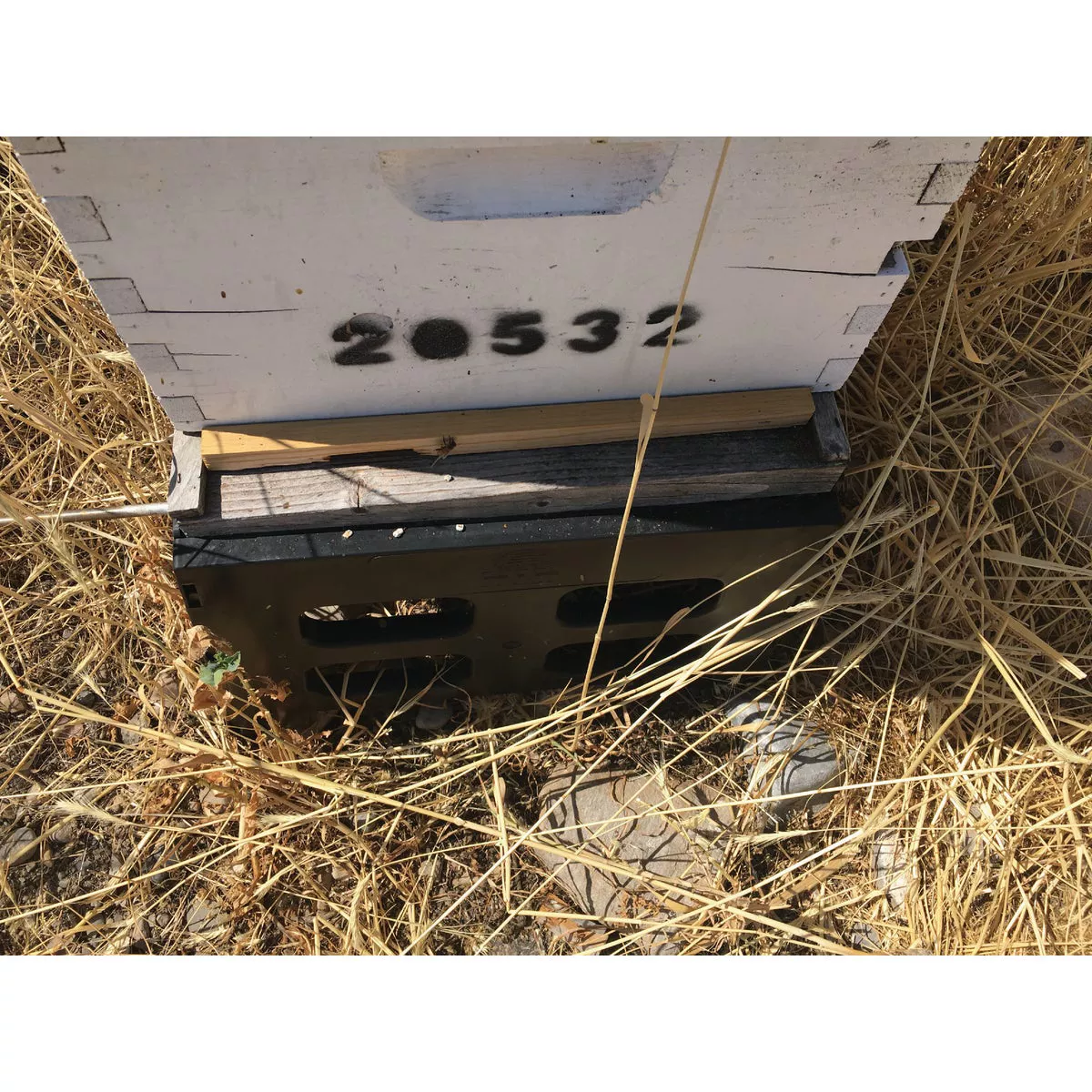 Harvest Lane Honey 3/4 In W x 3/4 In H x 14-3/4 In L Wood 10-Frame Beehive Entrance Reducer - photo 2