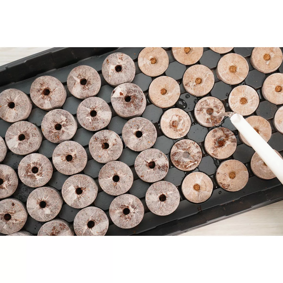PlantBest 50-Pellet Coir Greenhouse Kit - photo 4