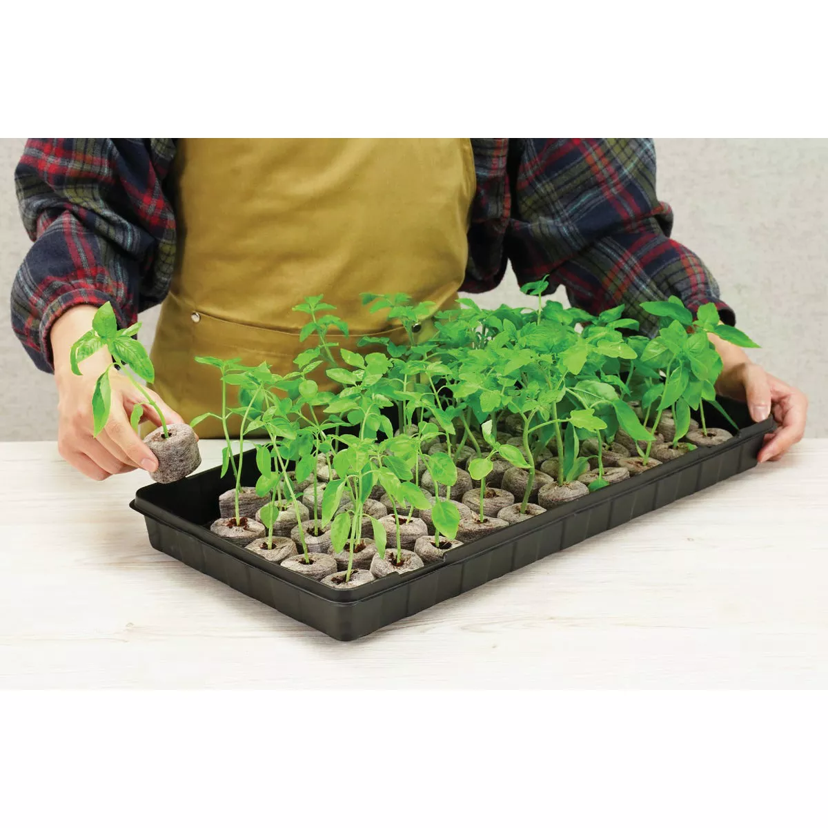 PlantBest 50-Pellet Coir Greenhouse Kit - photo 7