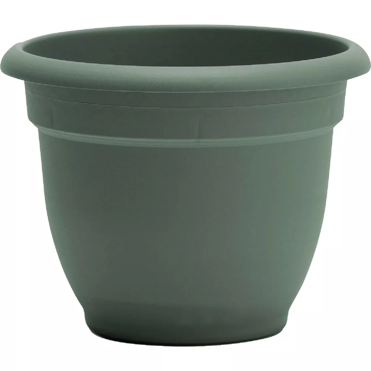 Bloem Ariana 6 In. Basil Planter